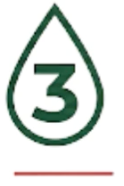 3-in-1 Formula